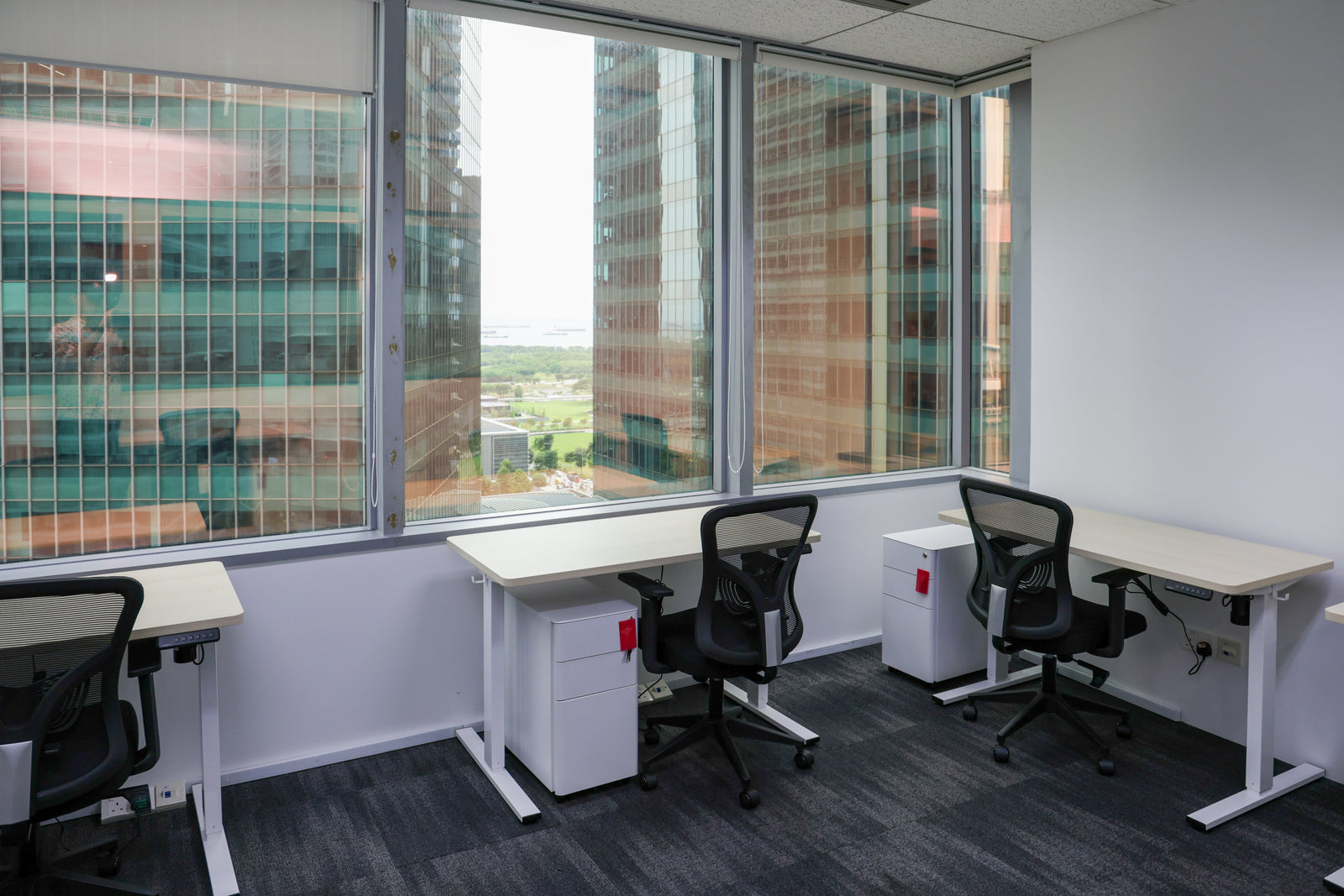 How Lighting, Noise, and Layout Affect Productivity in Coworking Spaces