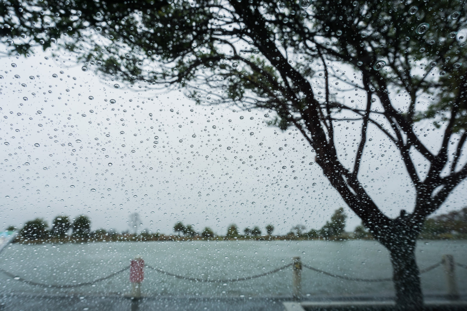 Getting to 6 Raffles Quay in the Rain