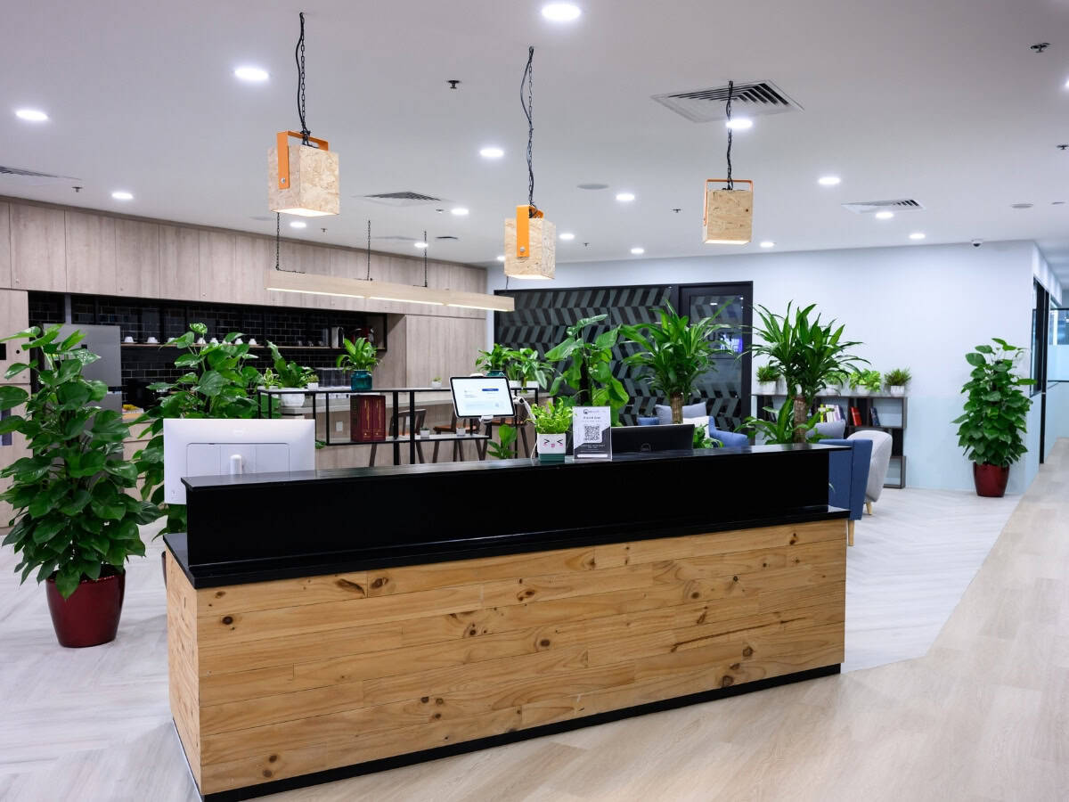 Contemporary coworking space reception with plants and sleek decor for productive work environments.