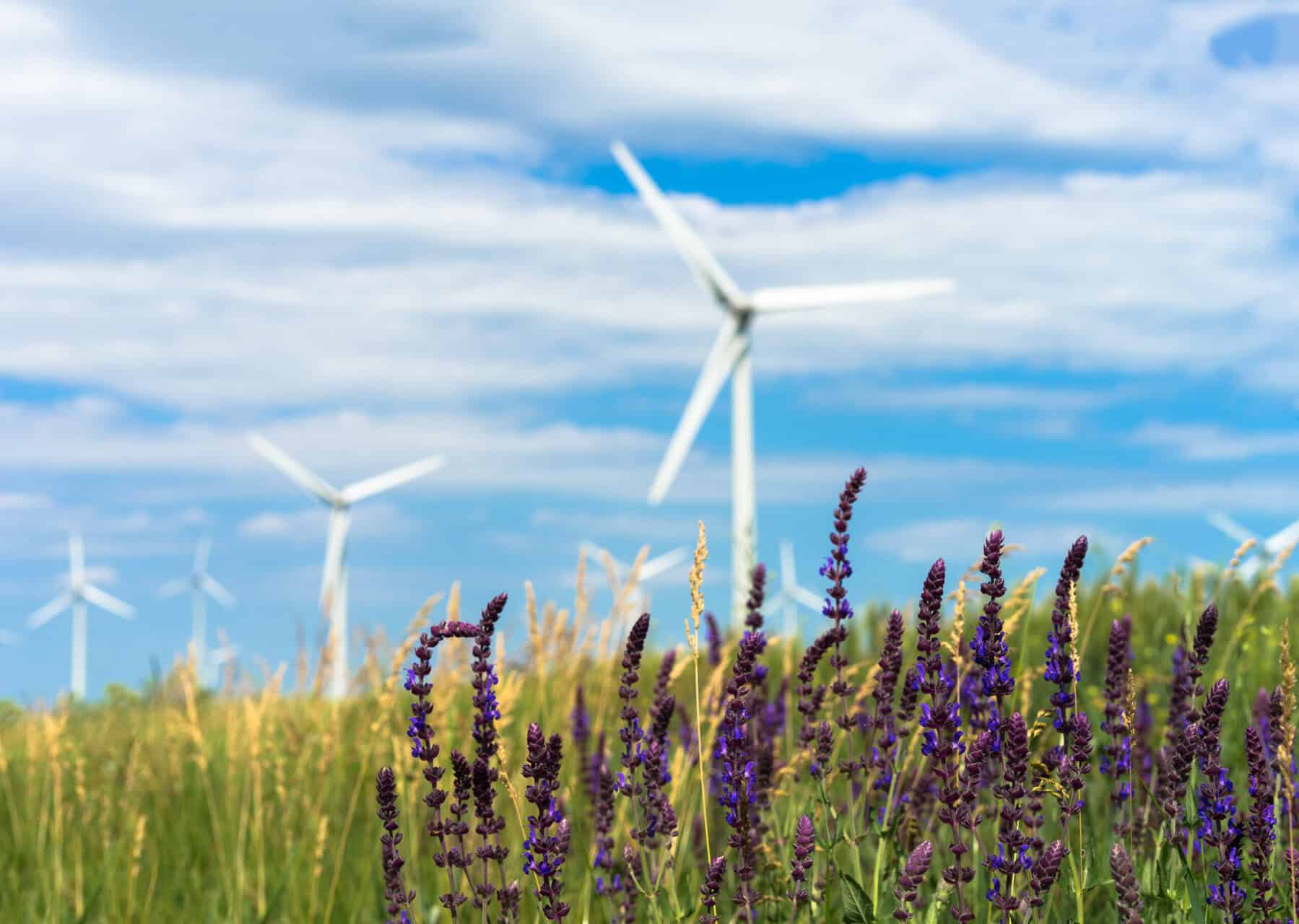 sustainability scaled