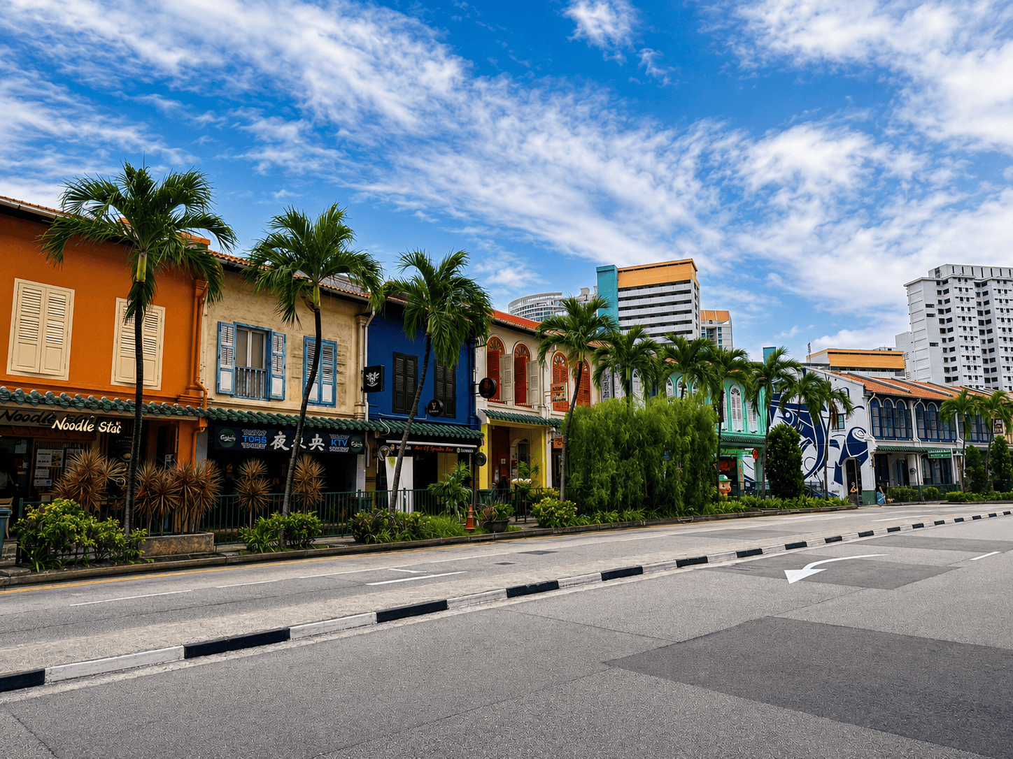 Tanjong Pagar Shophouses Tanjong Pagar Shophouses